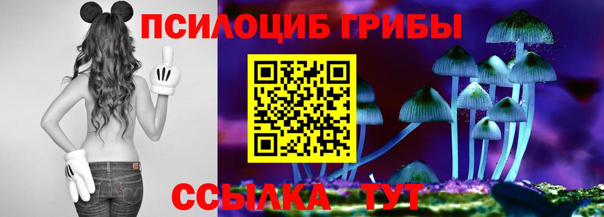 Ирбит  Псилоцибиновые грибы мицелий  Вход с VPN 